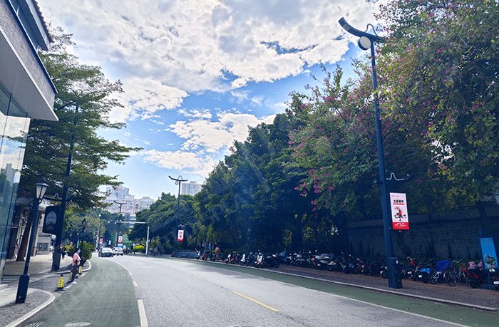 城市主干道燈桿屏應(yīng)用 城市主干道燈桿屏應(yīng)用